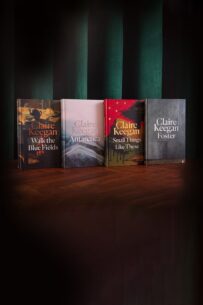 Claire-Keegan-hardbacks-15ST-credit-Emma-Matthews