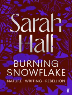 9780571404629-burning-snowflake